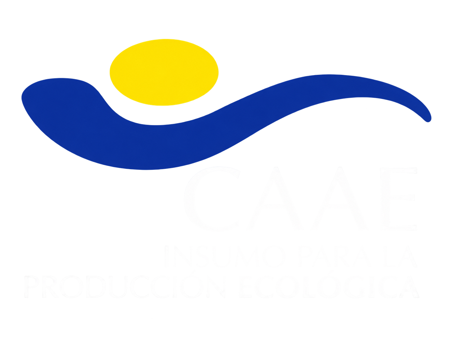 Certificación CAAE