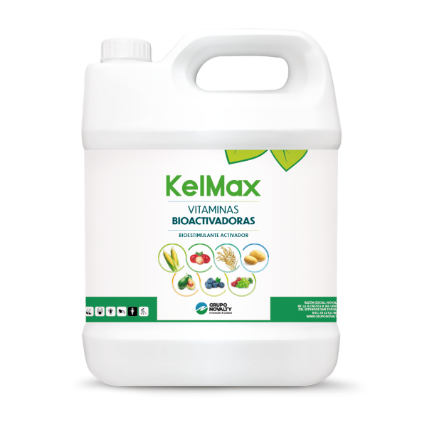 Kelmax