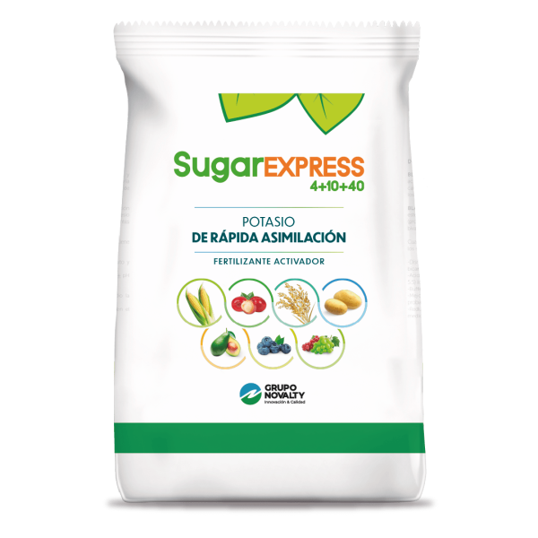 Sugar Express 4+10+40